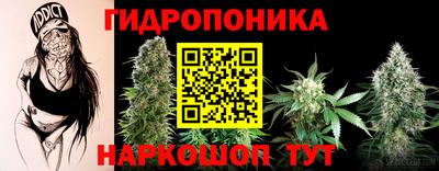 дмт Севастополь