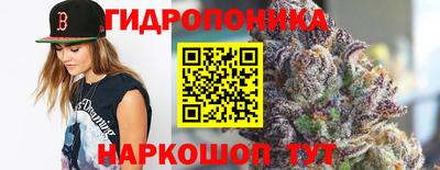 дмт Севастополь