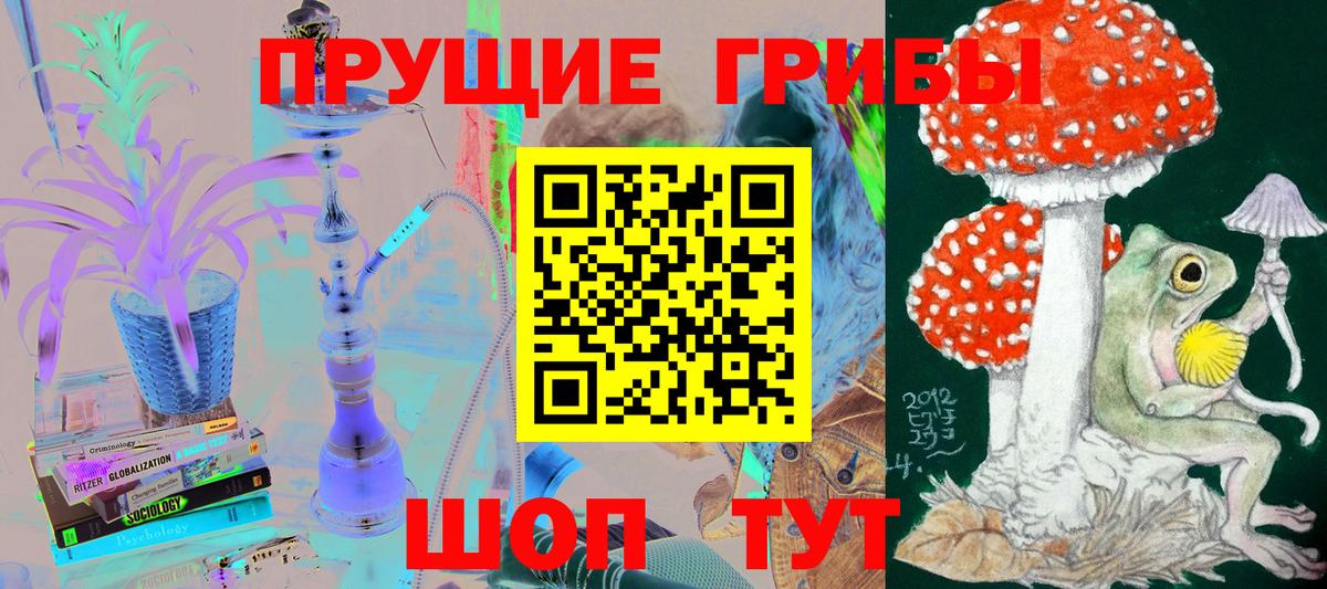 Псилоцибиновые грибы GOLDEN TEACHER  Вход с VPN  Энгельс 