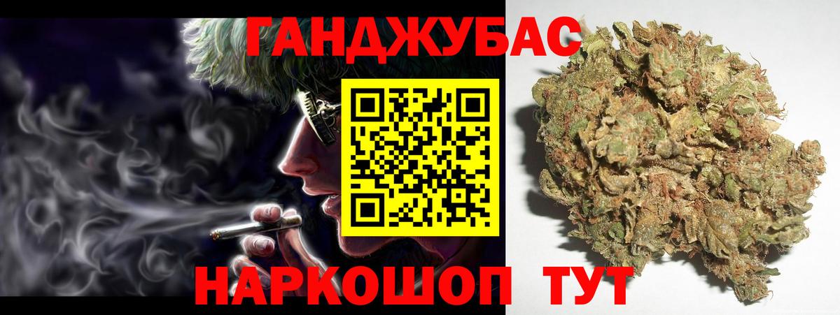 Бошки Шишки планчик  Конопля ГИДРОПОН  Энгельс  Вход с VPN 